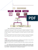 Documento Enfartes