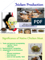 Native Chicken Production