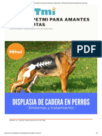 Displasia de Cadera en Perros Síntomas y Tratamiento - Revista Petmi para Amantes de Mascotas