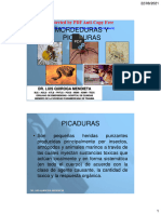 Zoonosis, Picaduras y Mordeduras