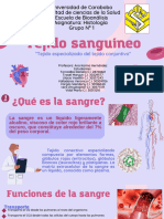 Tejido Sanguíneo