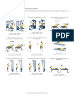 Entrenament - Definició Supersèries PDF