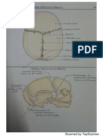 Head and Neck