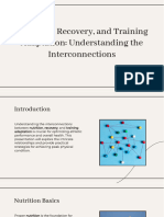 Definition of Nutrition, Recovery and Training Adaptation and Their Relationships