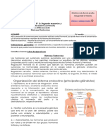 Guia 2 y Ev. Formativa Cuarto Medio Segundo Semestre Sistema Endocrino Biologia Diferenciado