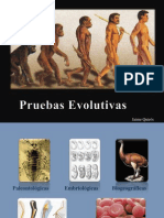 Pruebas Evolutivas - Jaime - Quiros