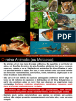 Aula 08 - Caracteristicas Gerais Dos Animais