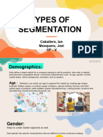 Marketing Types of Segmentation