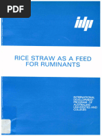 Rice Straw As A Feed