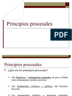 Principios Procesales