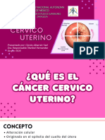 Cáncer Cervicouterino - 20240523 - 053519 - 0000