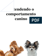 Bsico em Pet Sitter Apostila02