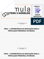 Aula 1 - Fórmula - Modelo para Minorias