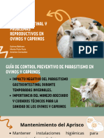 Control Del Parasitismo Gastrointestinal y Problemas Reproductivos en Ovinos y Caprinos