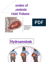 2.3. Hydroamniosis