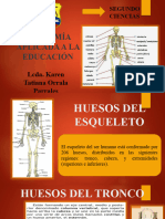 Anatomia Segundo Semana Del 13 Al 17 de Junio