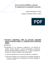 La Regulacion de Servicios Publicos. Aspectos Conceptuales