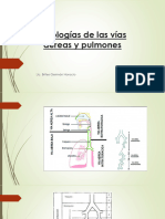 Patologías de Las Vías Aéreas y Pulmones