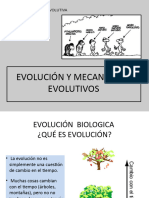 EVOLUCION - Mecanismos Filogenia y Especiación