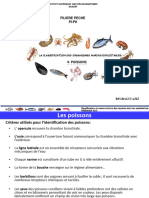 Classification Des Poissons