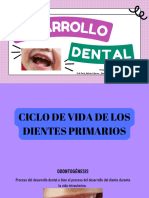 Odontopediatría Desarrollo Dental