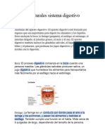 Guia de Naturales Sistema Digestivo