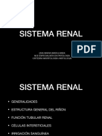 Sistema Renal PDF