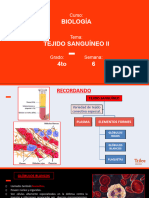 B 4to SEMANA 6 Tejido Sanguíneo II