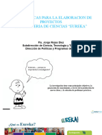 Pautas Básicas para La Elaboracion de Proyectos-Ss