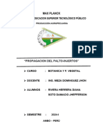 Informe de Injertos