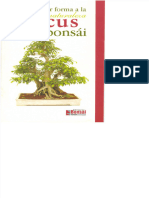 Bonsaiel Ficus