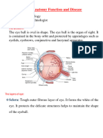 Eye Anatomy Function and Disease