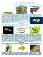 Animales en Peligro de Extinción de La Sierra