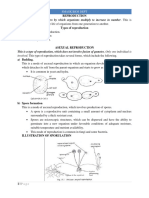 S4 Bio (Reproduction) NOTES