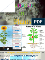 Transport in Plants