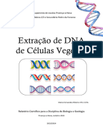 Relatório DNA