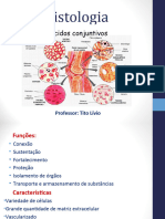 Tecidos Conjuntivos