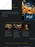 Introduccion A La Meningitis Bacteriana
