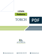 R Torch Atenea