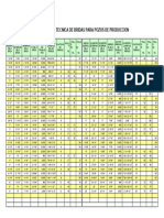 Dimensiones Bridas Pozos