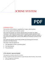 Endocrine System