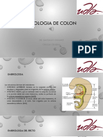 3 Patologia de Colon