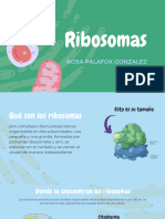 Ribosomas