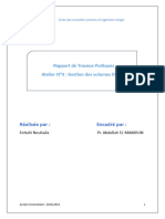 Rapport de Travaux Pratiques