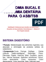 Anatomia Bucal e Dentária