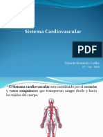 UNIDAD II.1 Sistema Cardiovascular