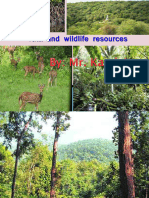 Forestsandwildliferesources 170314081447