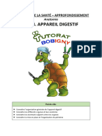 Cours 08 - Appareil Digestif (App)