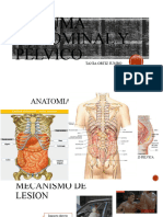 Trauma Abdominal y Pélvico