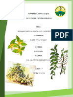 Herbario Forestal Digital Con 3 Especies Forestales KT